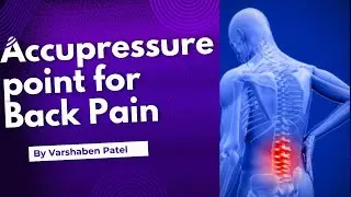 Back Pain Therapy | Trio Holistic Healing