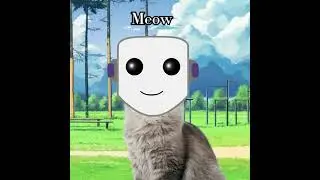 Meow (Meowmoonified Meme Video)