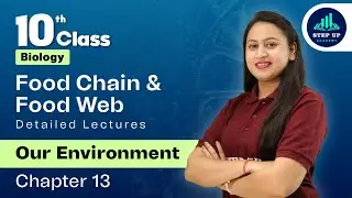 Food Chain & Food Web - Trophic Level | Our Environment | Chapter 13 (L3) | CBSE Class 10 Biology