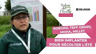Salon de l'herbe - Sorgho, teff grass, moha, millet : comment les choisir et les semer ?