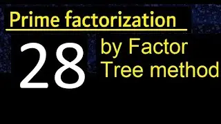 Prime factorization of 28 by factor tree method . Factor tree of 28 . How to find prime factors
