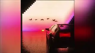 Willmore - Hotel Venus