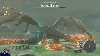 Taking down the Flame Gleeok of Hylia Bridge
