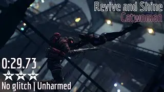 [World Record] Arkham Knight (PS4) - Revive and Shine (Catwoman) ᛃᛃ 29