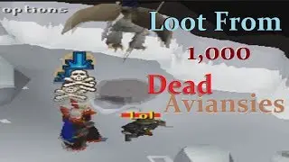 Loot From 1000 Aviansies 400k+ Gp/H ~Oldschool Wild Rejuvenate~