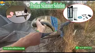 Video #42: Protein Skimmer in RAS Farming: Why It&rsquo;s Essential for Clean Water and Healthy Fish