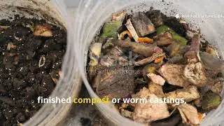 The Soil Battery Secret: This &ldquo;Forbidden&rdquo; Liquid Wakes Dead Beds Overnight