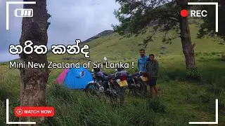 Haritha Kanda Camping | Breathtaking Hike & Misty Mountain Adventure in Sri Lanka