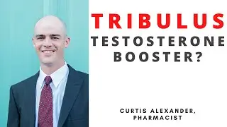 Can Tribulus Terrestris Really Boost Testosterone?