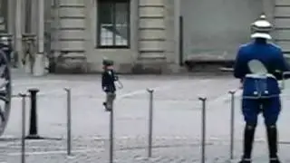Cutest Little Swedish Guard