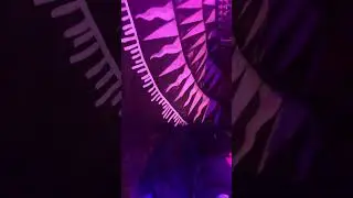 The visionaries live at the world famous Shrine, featuring Isiah Robinson on bass, and Chris on sax