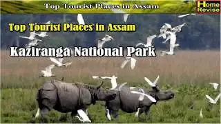 A TRIP TO ASSAM | Holiday destinations in India for foreigners | Top Tourist Places