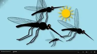 Mosquito Bite Prevention: 30-Second PSA