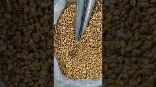 Crusher, Self-priming Crusher #Crusher #CornCrusher #AnimalFarmingMachinery @KuaishouFans @