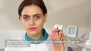 Mold Restoration Process