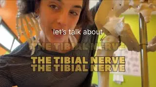 TIBIAL NERVE FOSSING — Neural Mobility for IAB Performers
