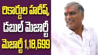 TRS Leader Harish Rao Back to Power with 1.2Lks Majority   |  Great Telangana TV