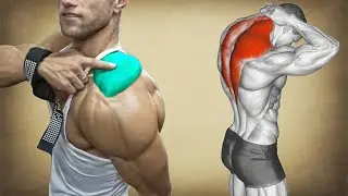 Best Trap Isolation Exercises &ndash; Grow That Neck Shelf
