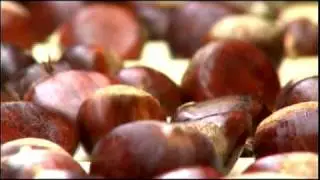 The Return of the Chestnut