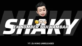 EK Number Tuji Kambhar | एक नंबर तुझी कंबर हाय चाल shaky shaky | trending Marathi dj mix song