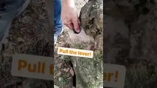 💫 Could you find this spin-tastic cache?🔎 #geocaching #geocache #shorts