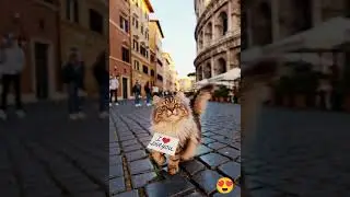 Cat walking in Rome Italy with I Love you sign