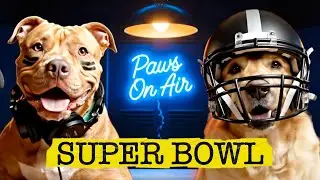 Dogs Explain the Super Bowl | Funny Dog Podcast | PawsOnAir