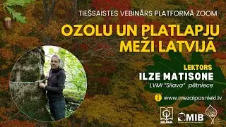 Ozolu un platlapju meži Latvijā -  tiešsaistes vebināra ieraksts