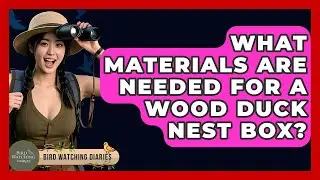 What Materials Are Needed For A Wood Duck Nest Box? - Bird Watching Diaries