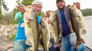 Catching GIANT Spring Bass!!!