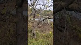 Enjoy the Fall