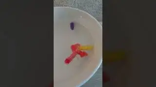 Before And After Grow Capsules | Watch The Magic Happen #fun #cute #toys #trending #viral #shorts