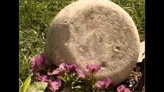 Il Plaisentif:  la marchiatura del formaggio delle viole