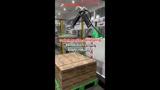 Collaborative Palletizing Revolution in the Dairy Industry!