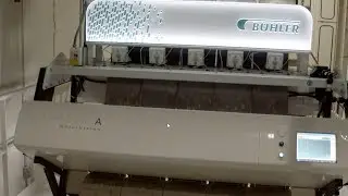 SORTEX A ColorVision InGaAs: Optical sorter for short-cut and soup pasta