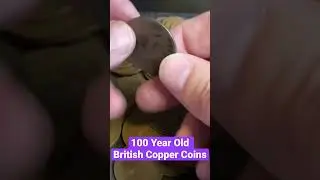 Massive Collection Of Old British Copper Pennies #coin #collection #hobby #coinrollhunting