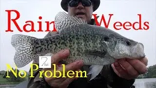 One canoe/Two rods/Three species/Four lures: Seven Fish Episode 7