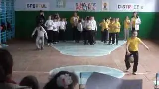 Liceul Teoretic Diomid Gherman satul Risipeni