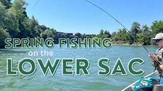 SPRING fishing on the Lower Sac || Confluence Outfitters