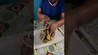 Mutton snack item #crispy #mutton #lungs #fry #cooking #recipe #jatra #snacks #fun #cook #time #tour