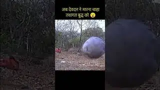 तथागत गौतम बुद्ध | Tathagat Gautam Buddha | #shorts​ #motivation​ #viralvideo​