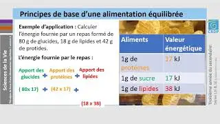 Biologie: Determiner les depenses energetiques