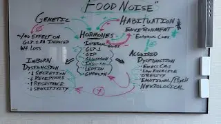 Is Food Noise Genetic or Habituated? - Whiteboards with Dr. G
