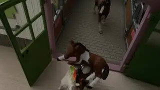 Schlafenszeit im Stall, Abenteuer in der Nacht