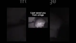 If someone says shut up, say, #cringe #hedgehog #comeback #guardian