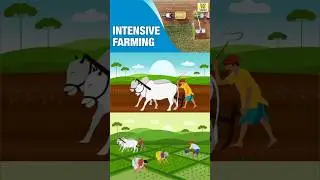 Meaning & Characteristics of Intensive Subsistence Farming | #shorts #geography #upsc #farming