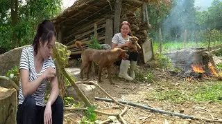 Building a farm after a storm swept through - chuc ha diep