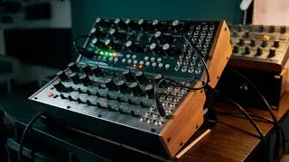 Shugone & Sidius &ndash; Live Analog Jam | Moog DFAM x Mother-32 x Ableton Push