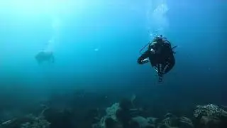 A-Dive Cabo~2023
