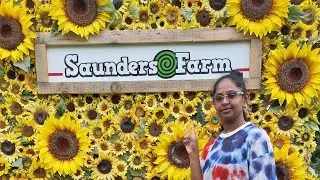 Saunders Farm